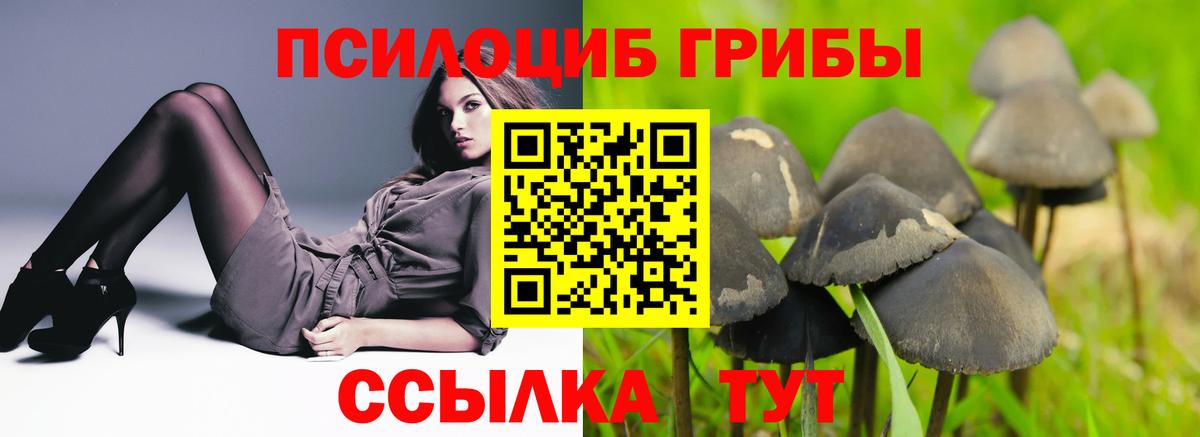 Галлюциногенные грибы мицелий  Вход с VPN  Пугачёв 