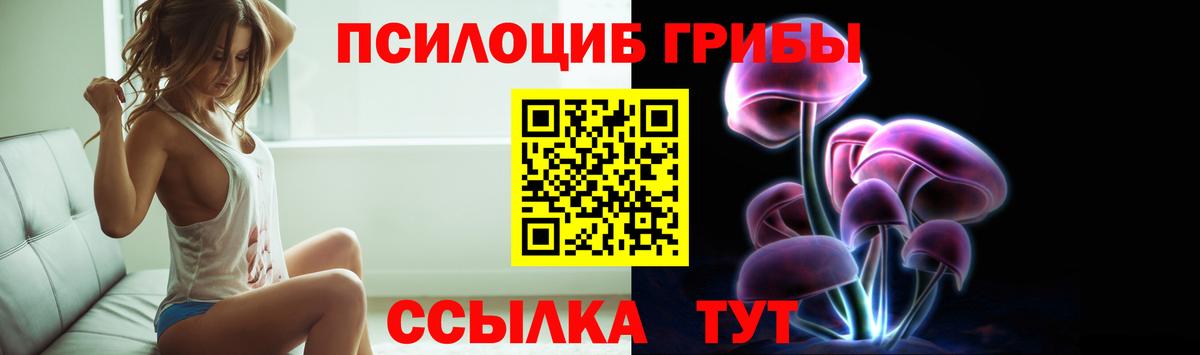 Псилоцибиновые грибы Psilocybine cubensis Пугачёв